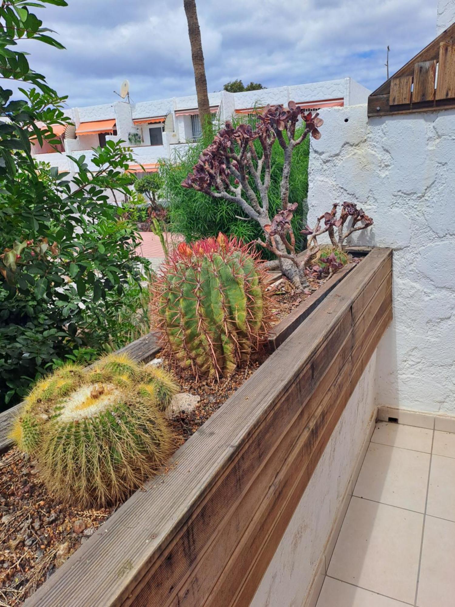 El Chaparral Studio Poolview Ground Floor Arona  Exterior foto